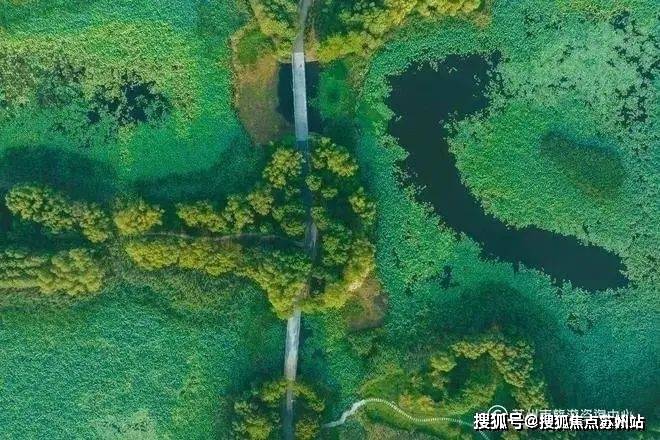 楼盘评测-鹿溪雅园售楼中心详情户型 小区配套爱游戏app鹿溪雅园售楼处欢迎您 2025(图29)
